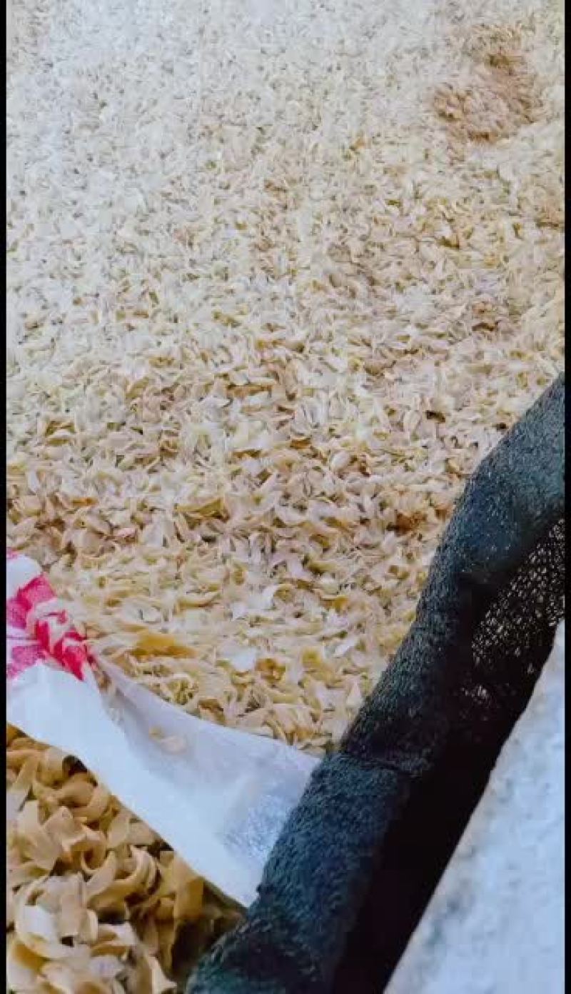 龙牙百合干大量发货中