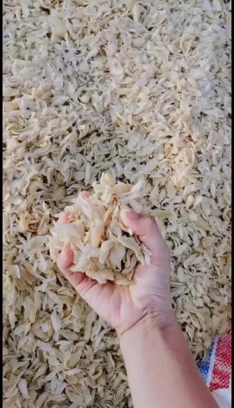 龙牙百合干大量发货中