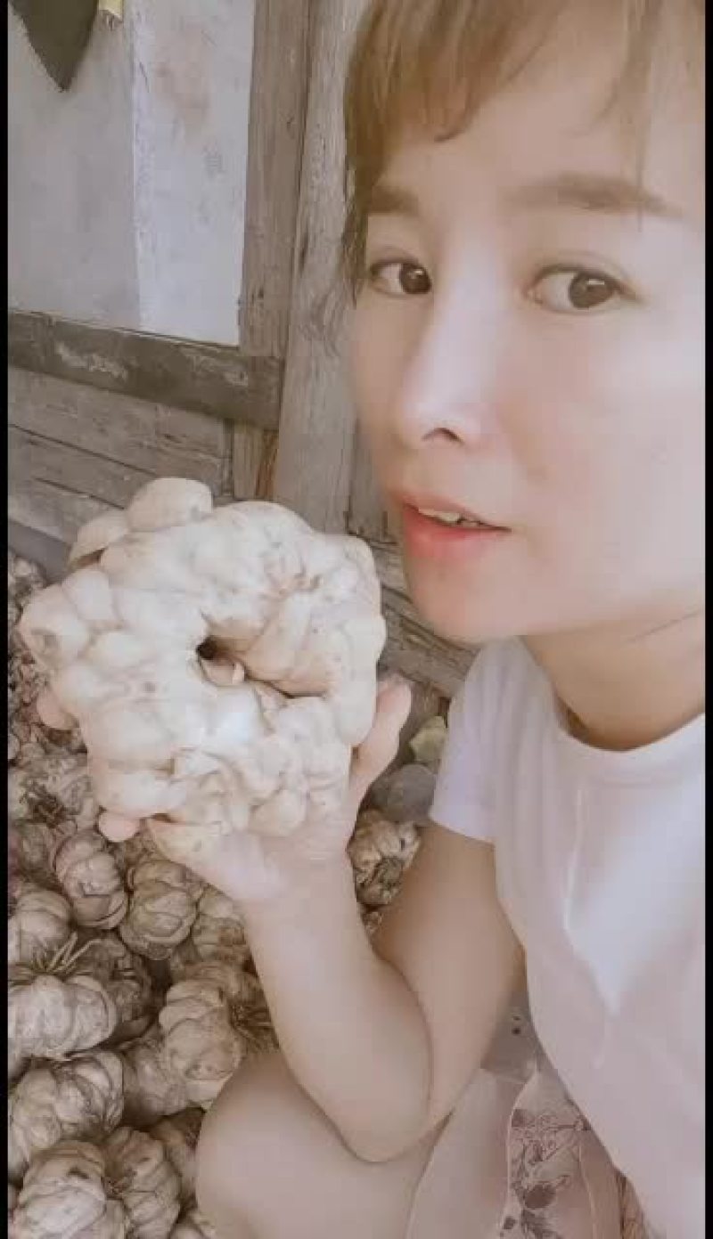 龙牙百合干大量发货中