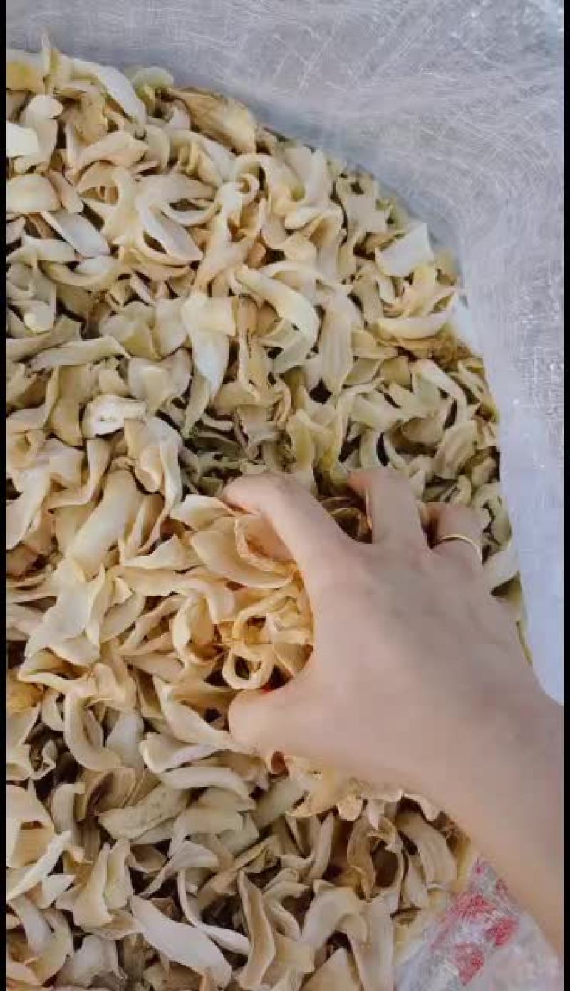 龙牙百合干大量发货中
