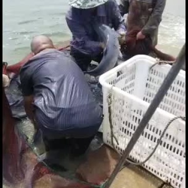 质量很好适合垂钓欢迎预订
