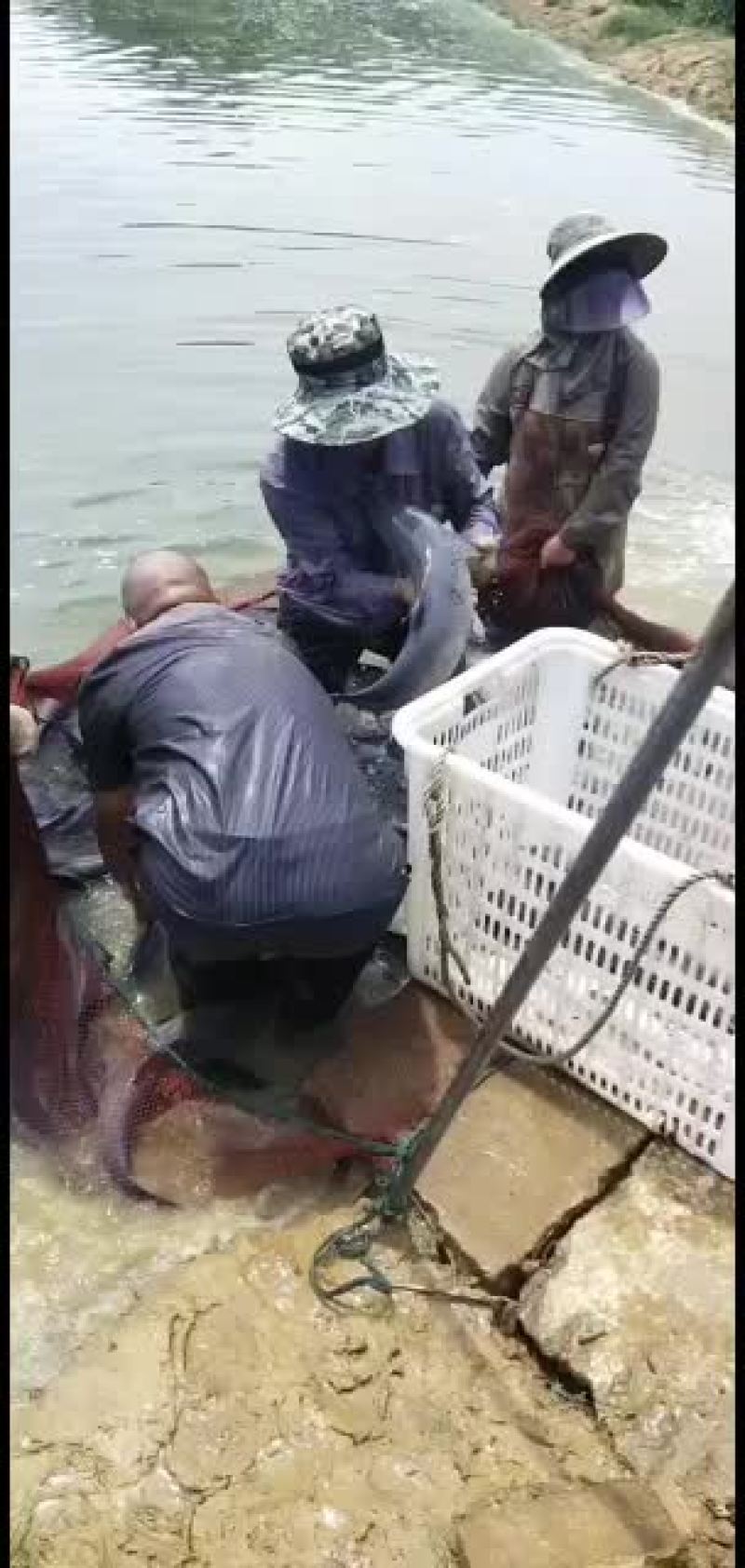 质量很好适合垂钓欢迎预订