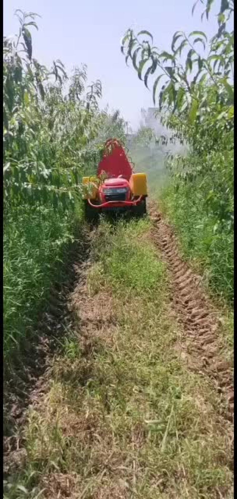 果园管理机履带遥控打药机旋耕机