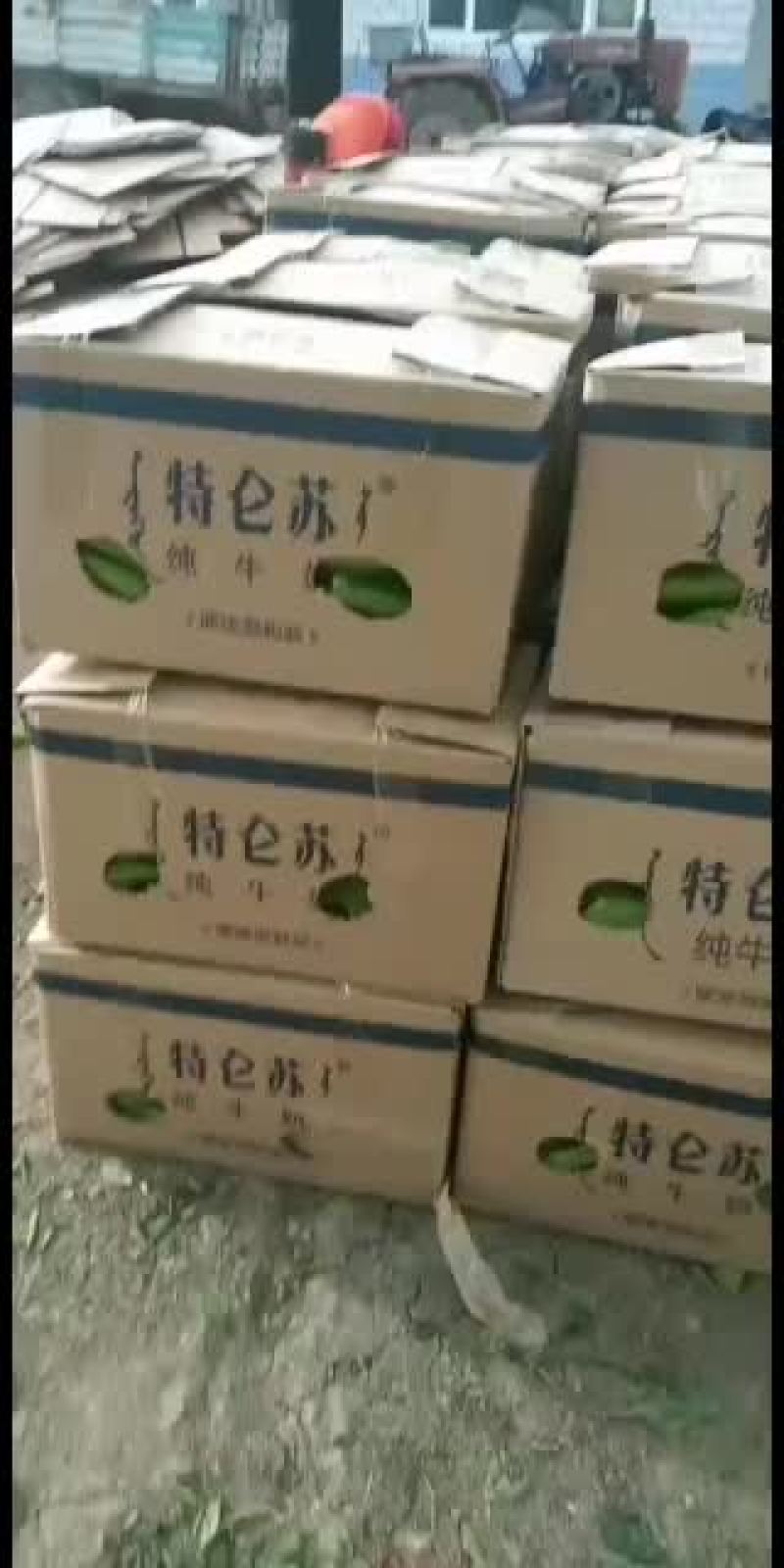 大量大棚牛角尖椒供应，