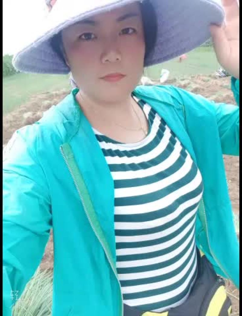 葱苗30cm以上，日本铁杆葱苗，保质保量