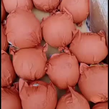 皇冠梨皇冠梨皇冠梨皇冠梨
