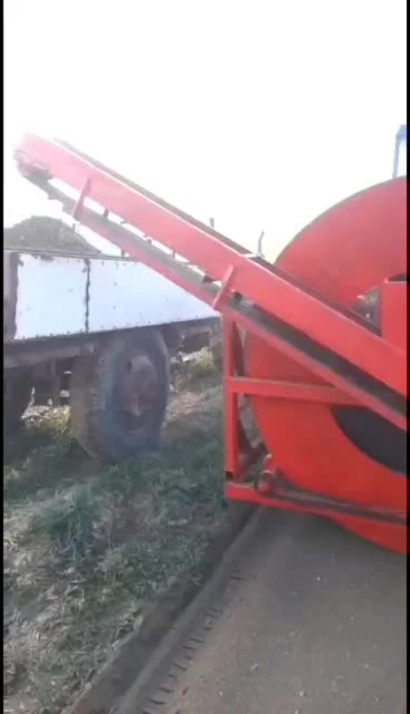 河北优质小叶旱半夏种苗。产量高，易管理病虫害少