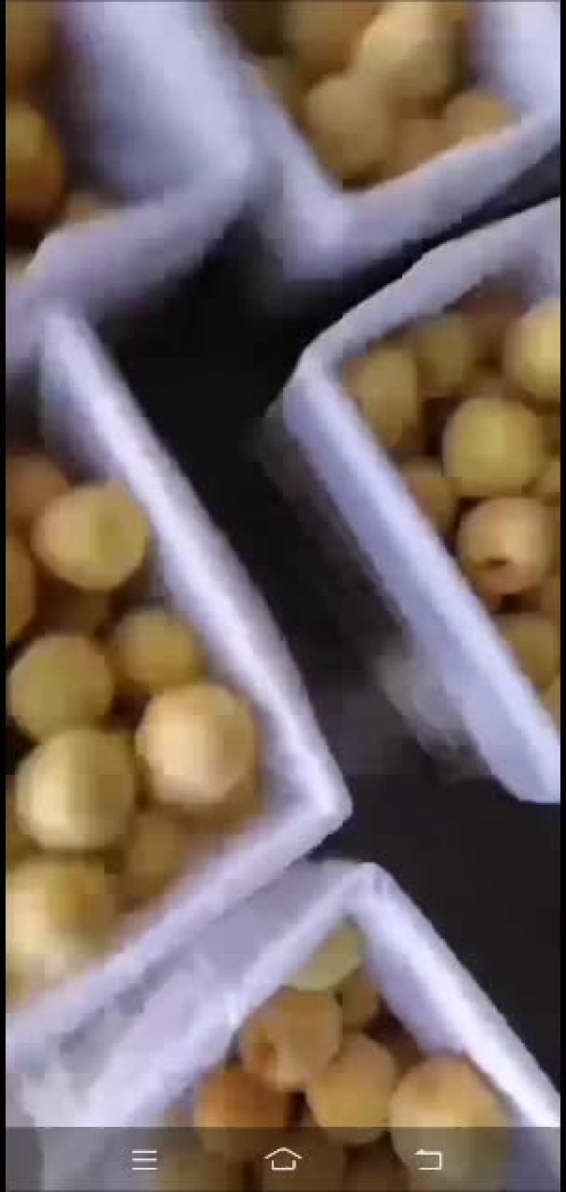 黄桃大量开始上市了！口感好！