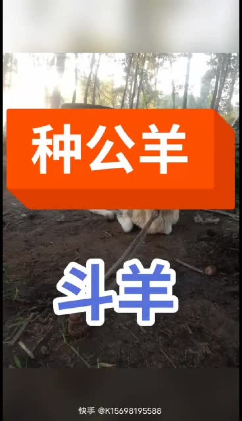 嘉祥县洪昆牛羊繁殖基地