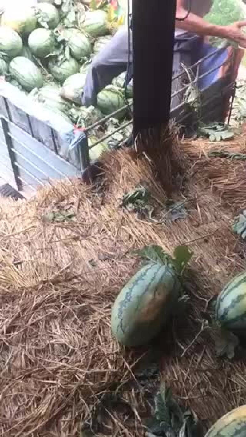 开工开工，顺顺利利，完美开工