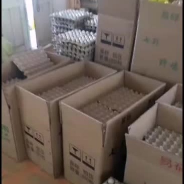 供应中秋好礼新鲜野鸡蛋