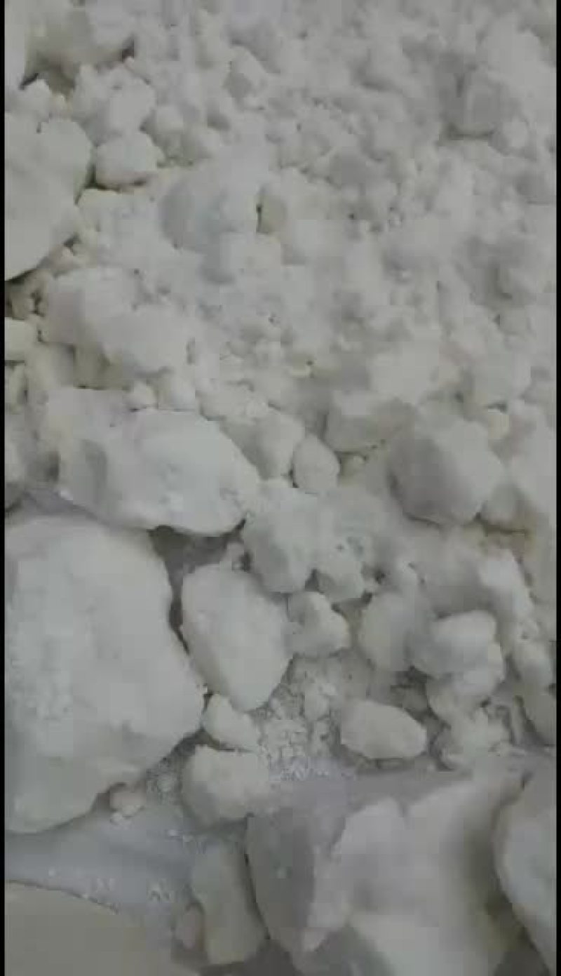 云南高原特色种植优质土豆云薯304号淀粉热卖中