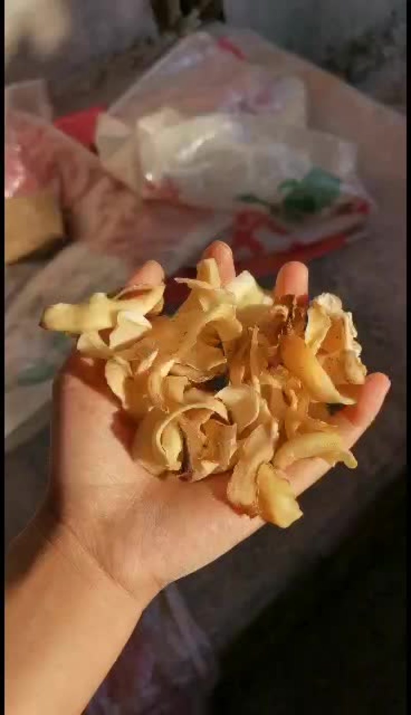 龙牙百合干大量发货中