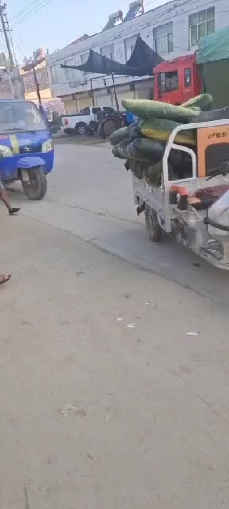 黑皮冬瓜大量现货供应，要的速速联系