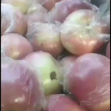 苹果北海道苹果又叫江南美女口感脆甜，