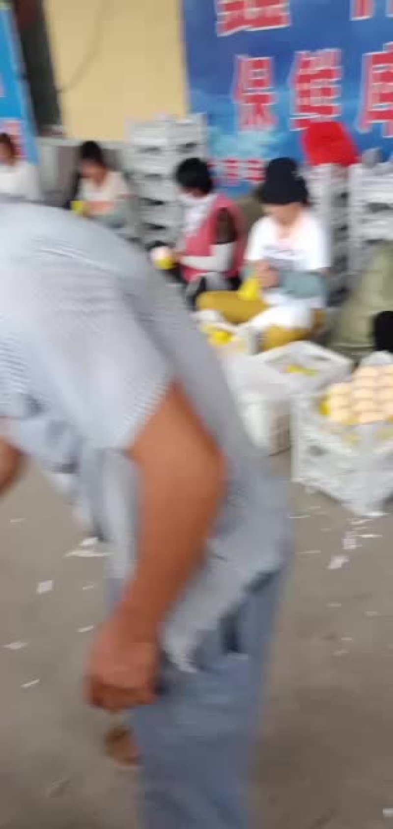 金黄桃，就是你喜欢的哪一种
