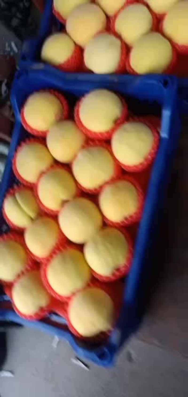 金黄桃，就是你喜欢的哪一种