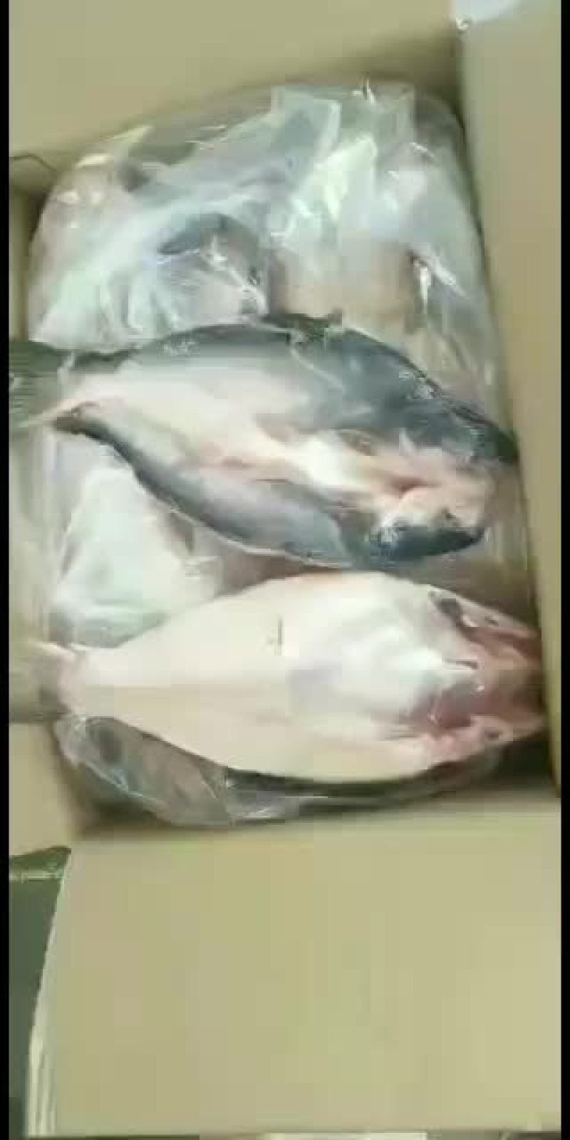 新到开背鱼，颜色新鲜，质量杠杠的，新出厂的，