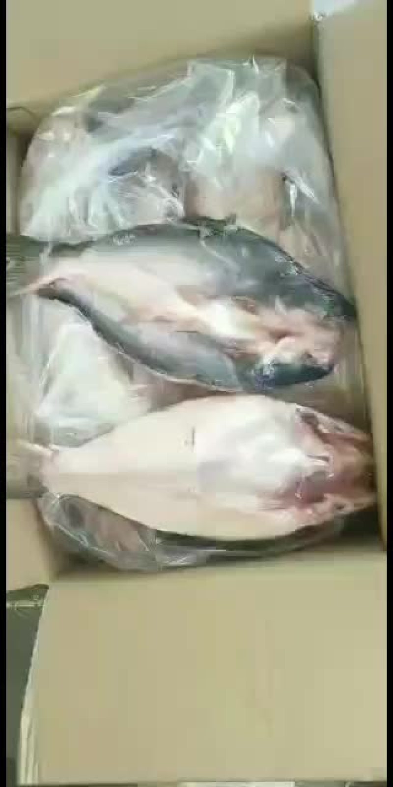 新到开背鱼，颜色新鲜，质量杠杠的，新出厂的，