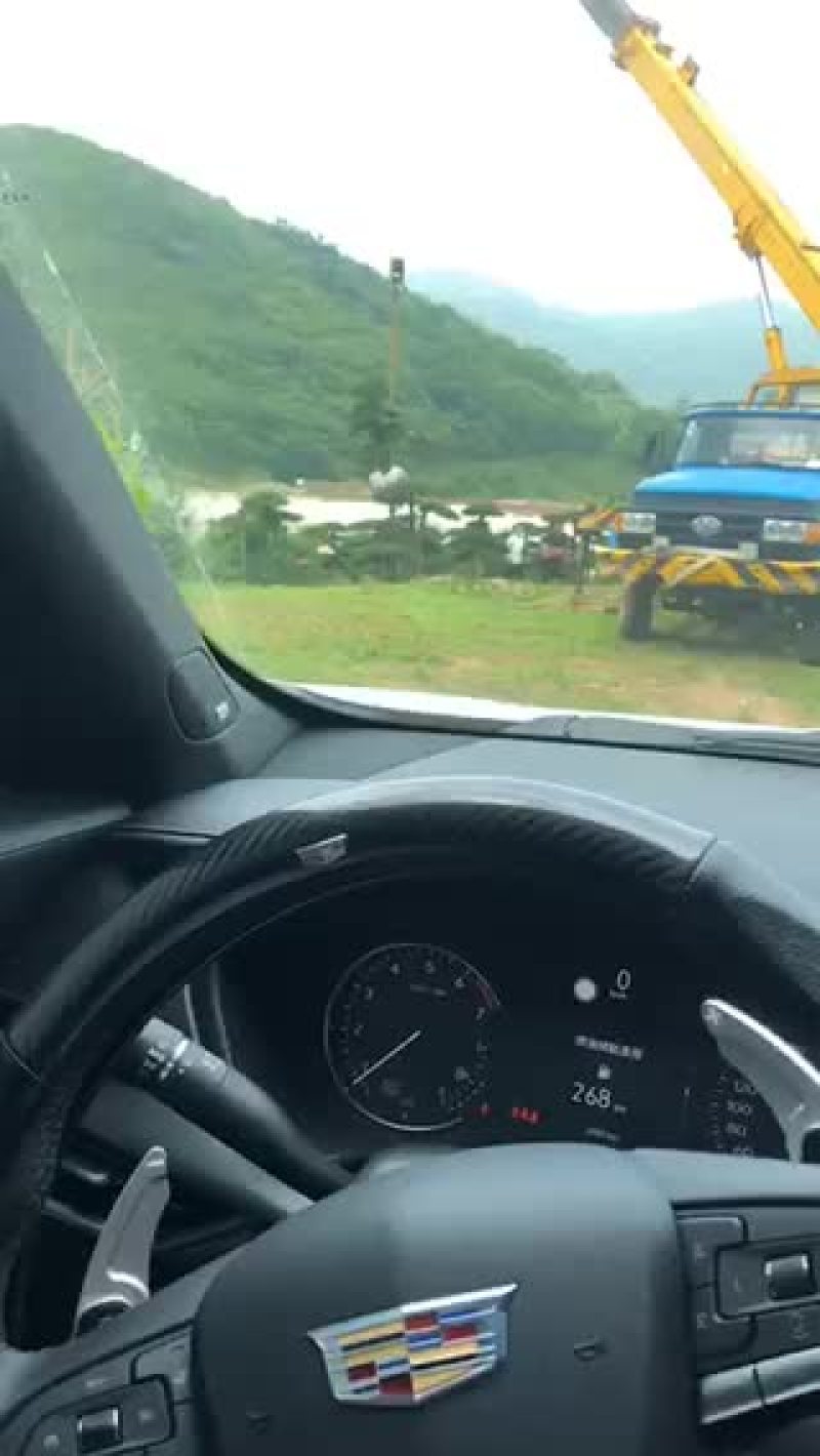 对节白蜡。10-15公分。各种规格。欢迎咨询。