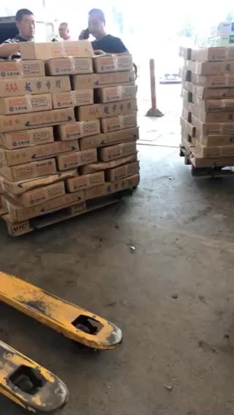 去头去尾带鱼中段专供超市