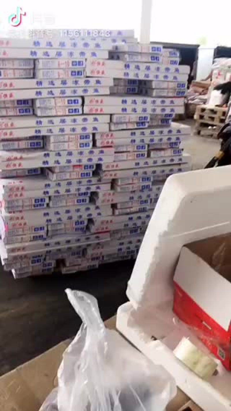 板冻国产带鱼净重八斤