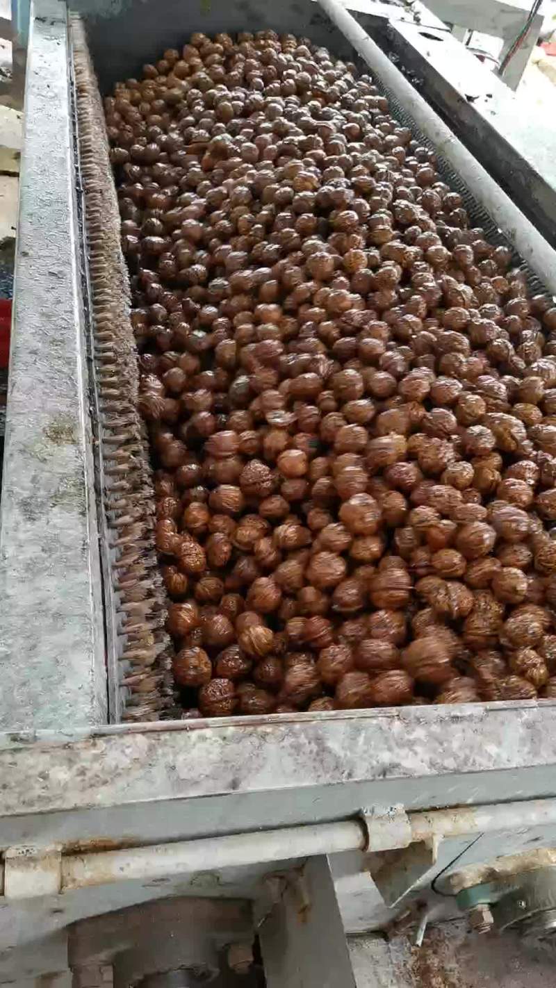 核桃