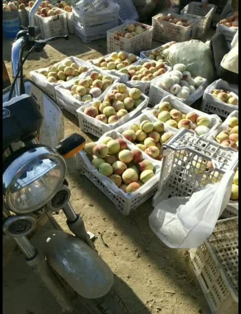 纸袋彭仙十三大量上市中！