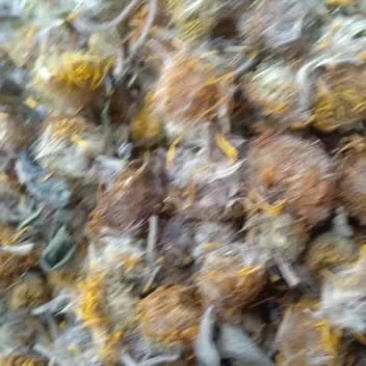 中药材旋复花野生旋覆花金钱花夏菊金沸草正品