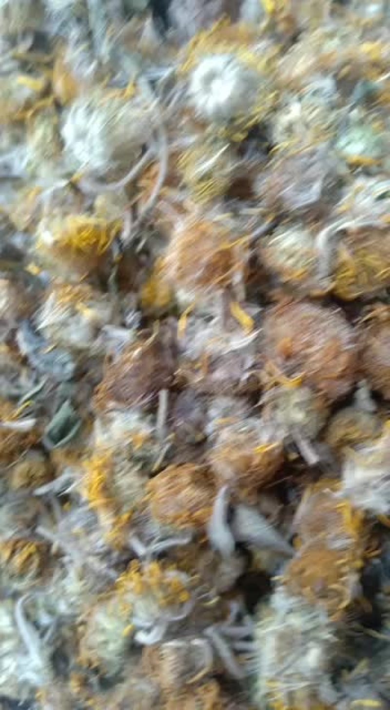 中药材旋复花野生旋覆花金钱花夏菊金沸草正品