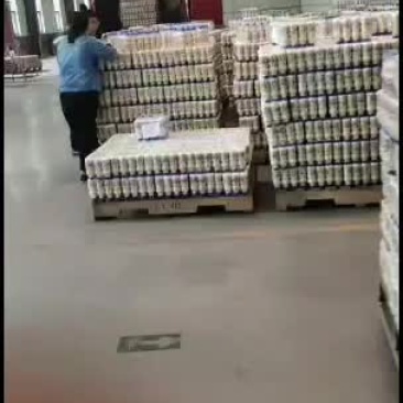 乳酸菌饮品塑包及礼盒销售