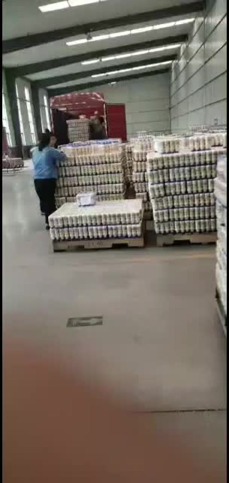 乳酸菌饮品塑包及礼盒销售