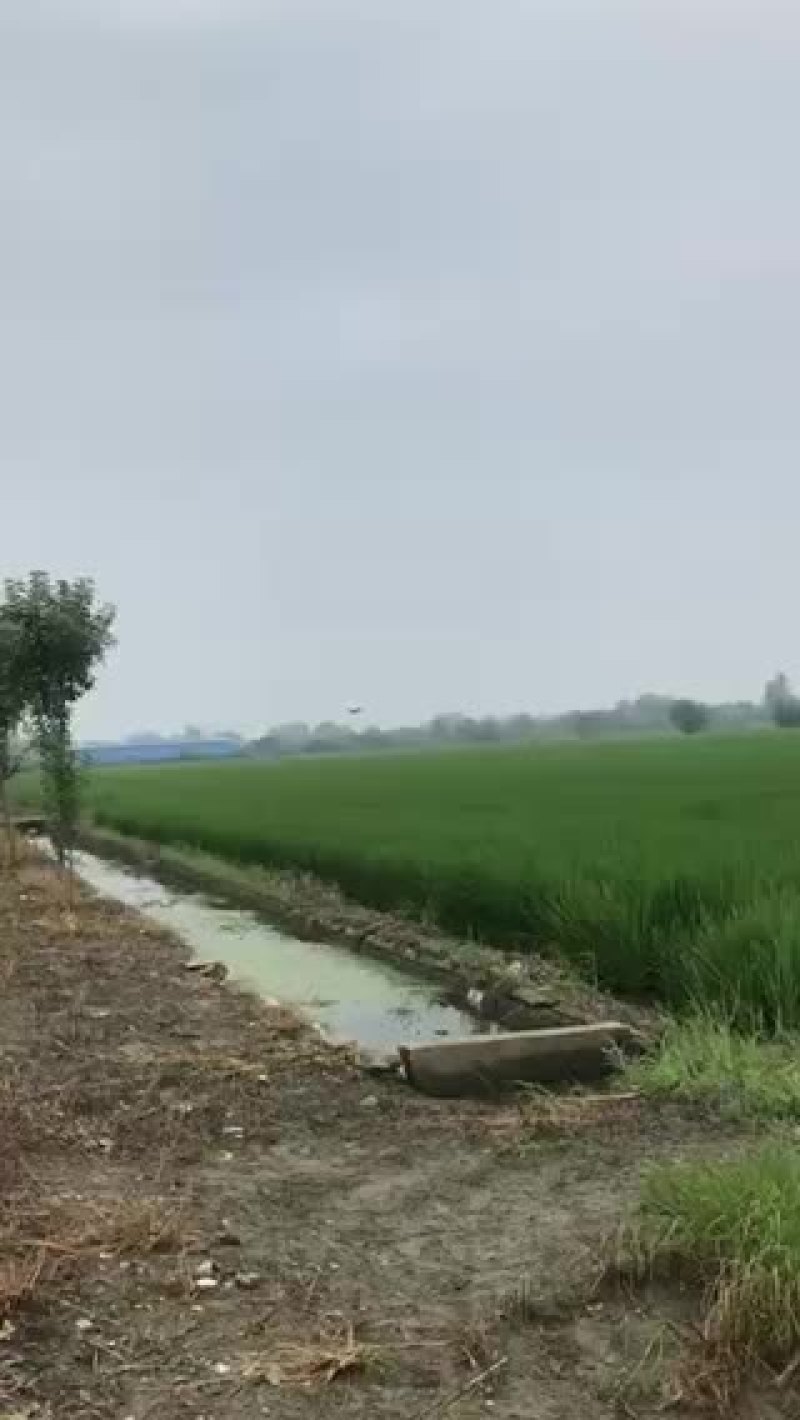 无人机打药全国各地上门服务作业