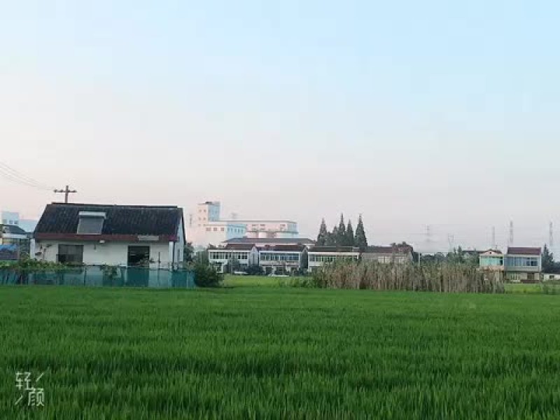 无人机打药全国各地上门服务作业