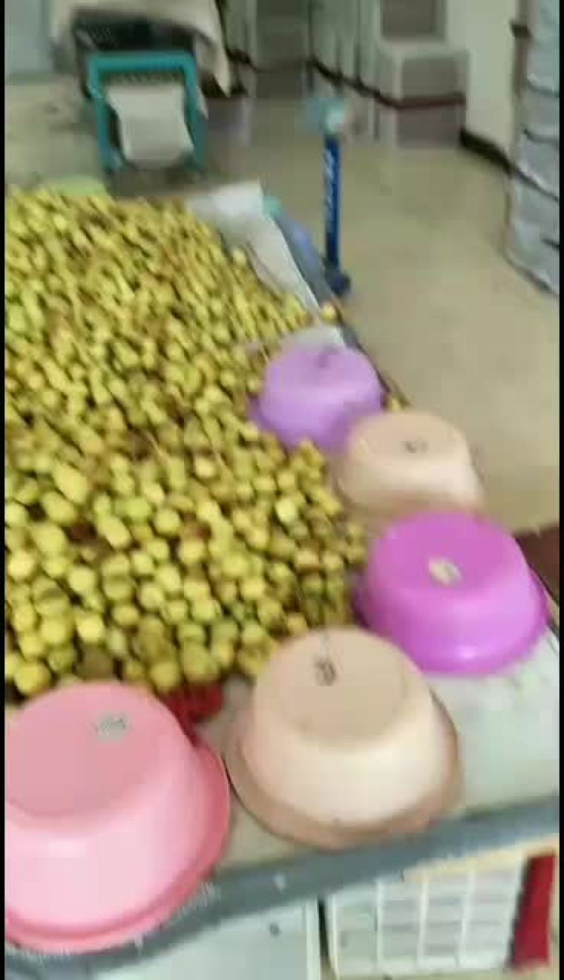 大朋果业，常年代办冬枣