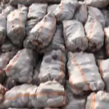 兴佳二号三两起大量出货