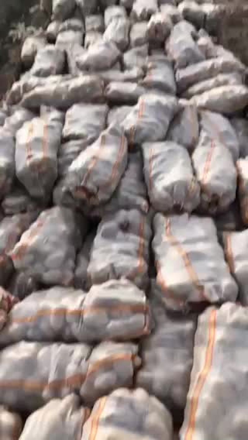 兴佳二号三两起大量出货