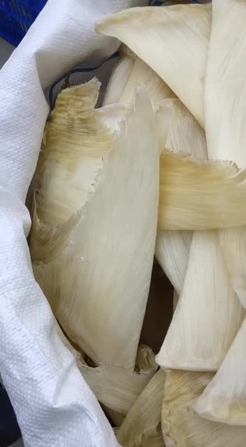 合发鱼翅批发行！！！