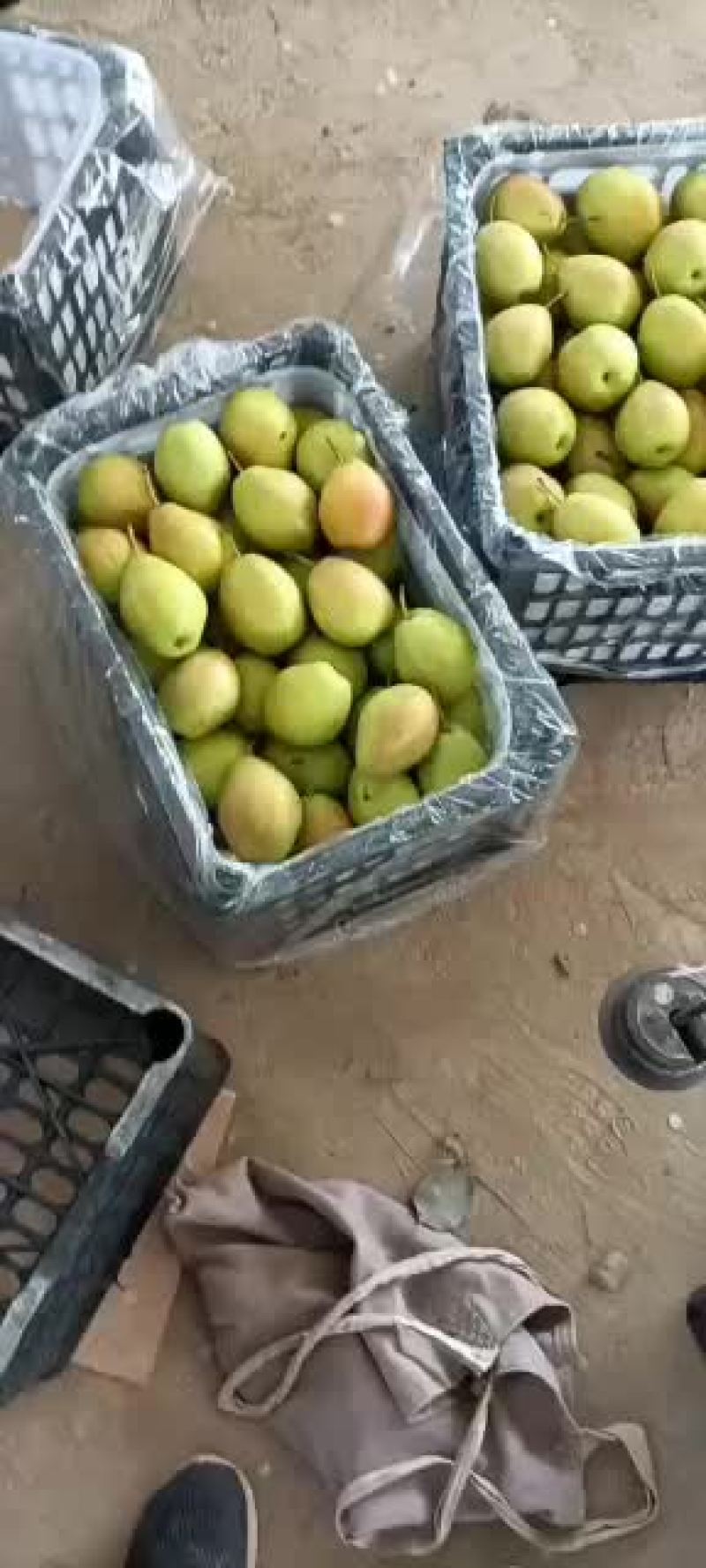 梨红香酥，脆甜，有香味