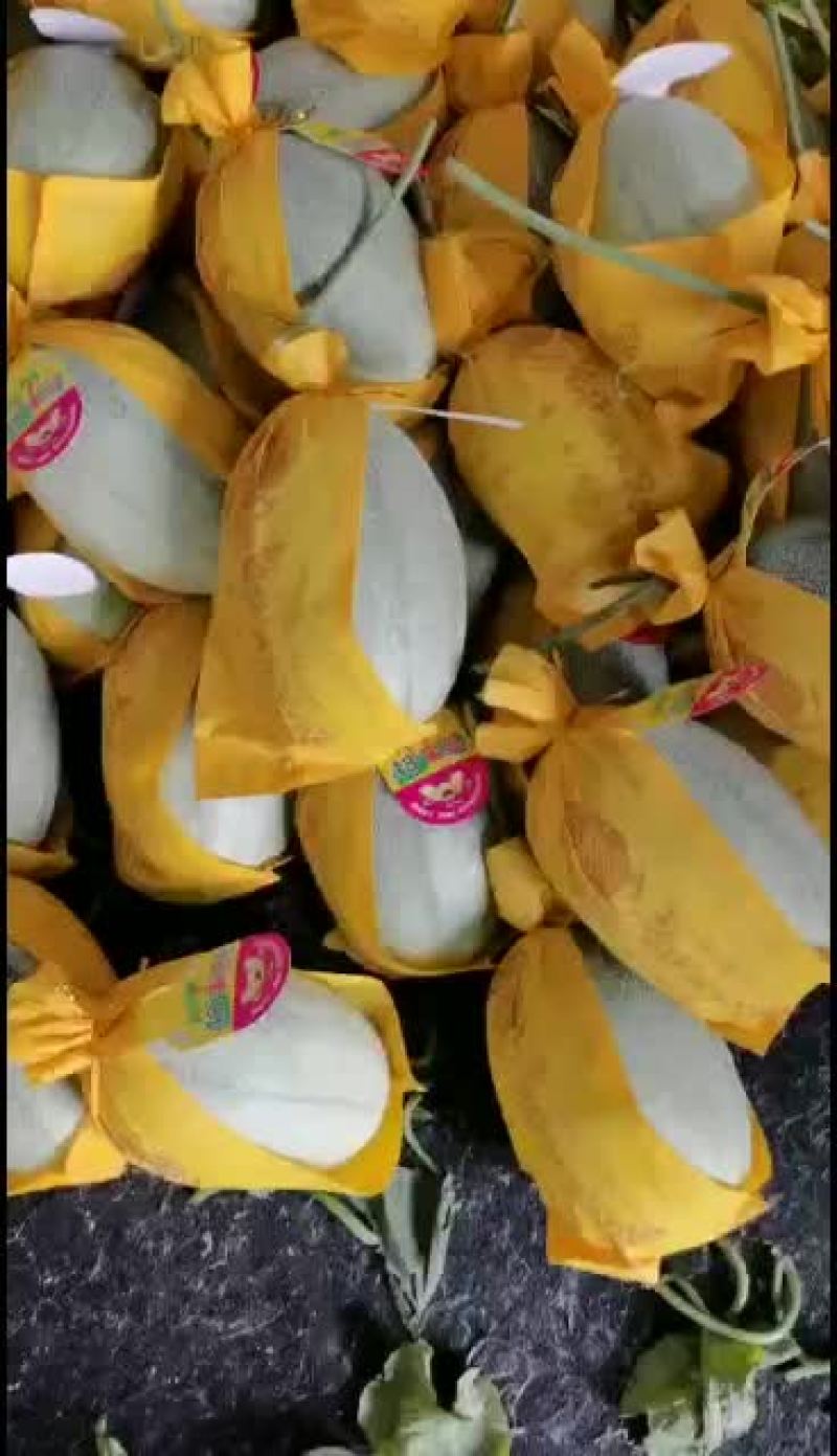 山东潍坊寿光西周密，晓密二五大量上市，大量供应质量杠杠滴