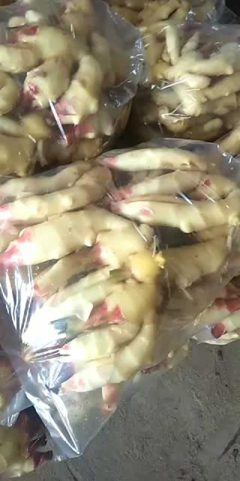 精品大姜陆续上市中欢迎全国各地老板前来洽谈