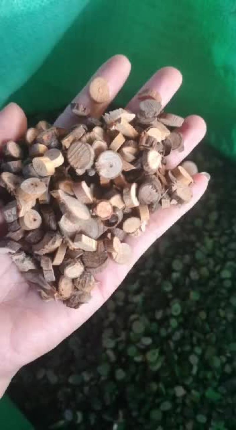 广西玉林桂皮桂枝批发零售