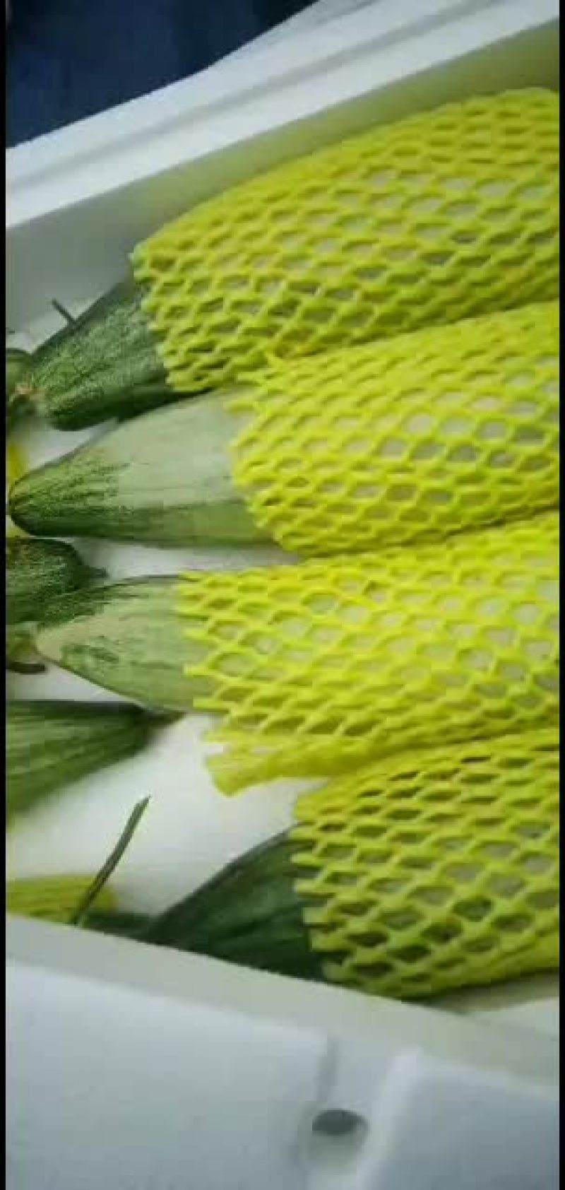 潍坊羊角蜜甜瓜，羊角脆甜瓜，地头装车质量有保证