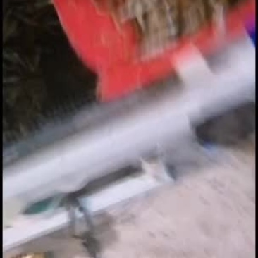 原生态水库白条鱼，一手货源