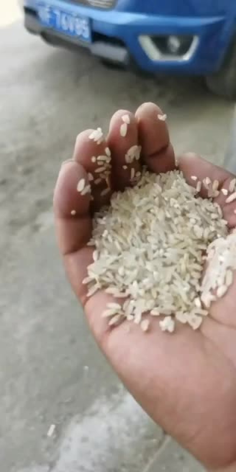 统糠除尘筛糠规格（0.8—1.8）糠粉饲料糠