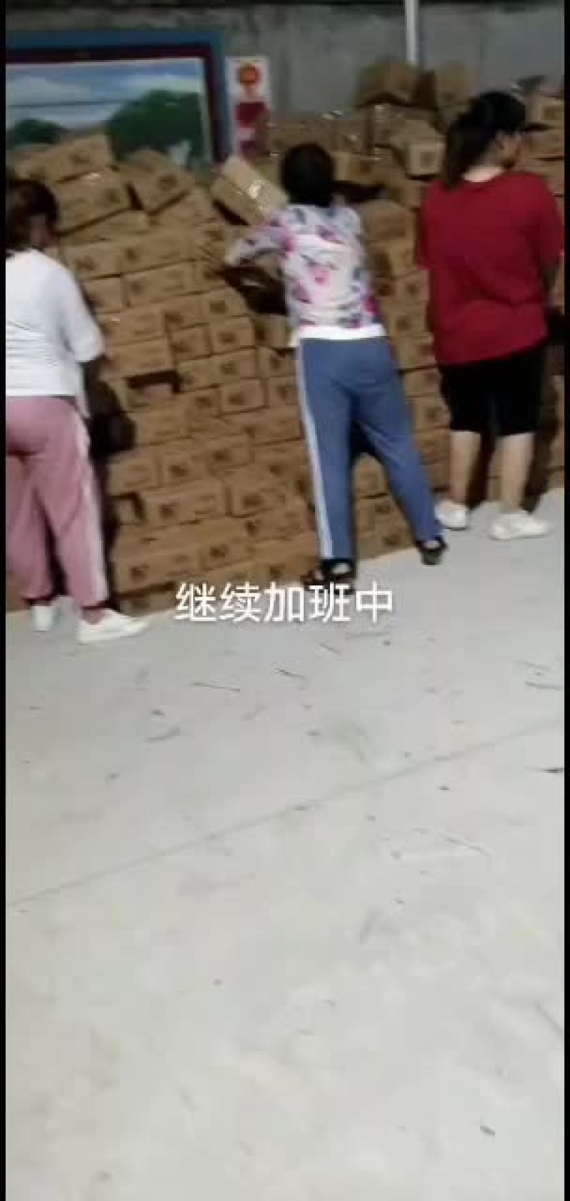 鲜枣{实力代办}拥有大型场地专业的代收团队，对接各大平台