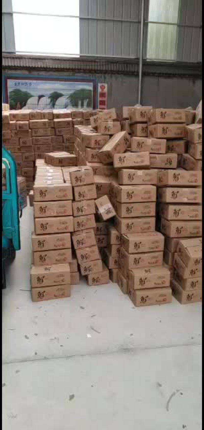 鲜枣{实力代办}拥有大型场地专业的代收团队，对接各大平台