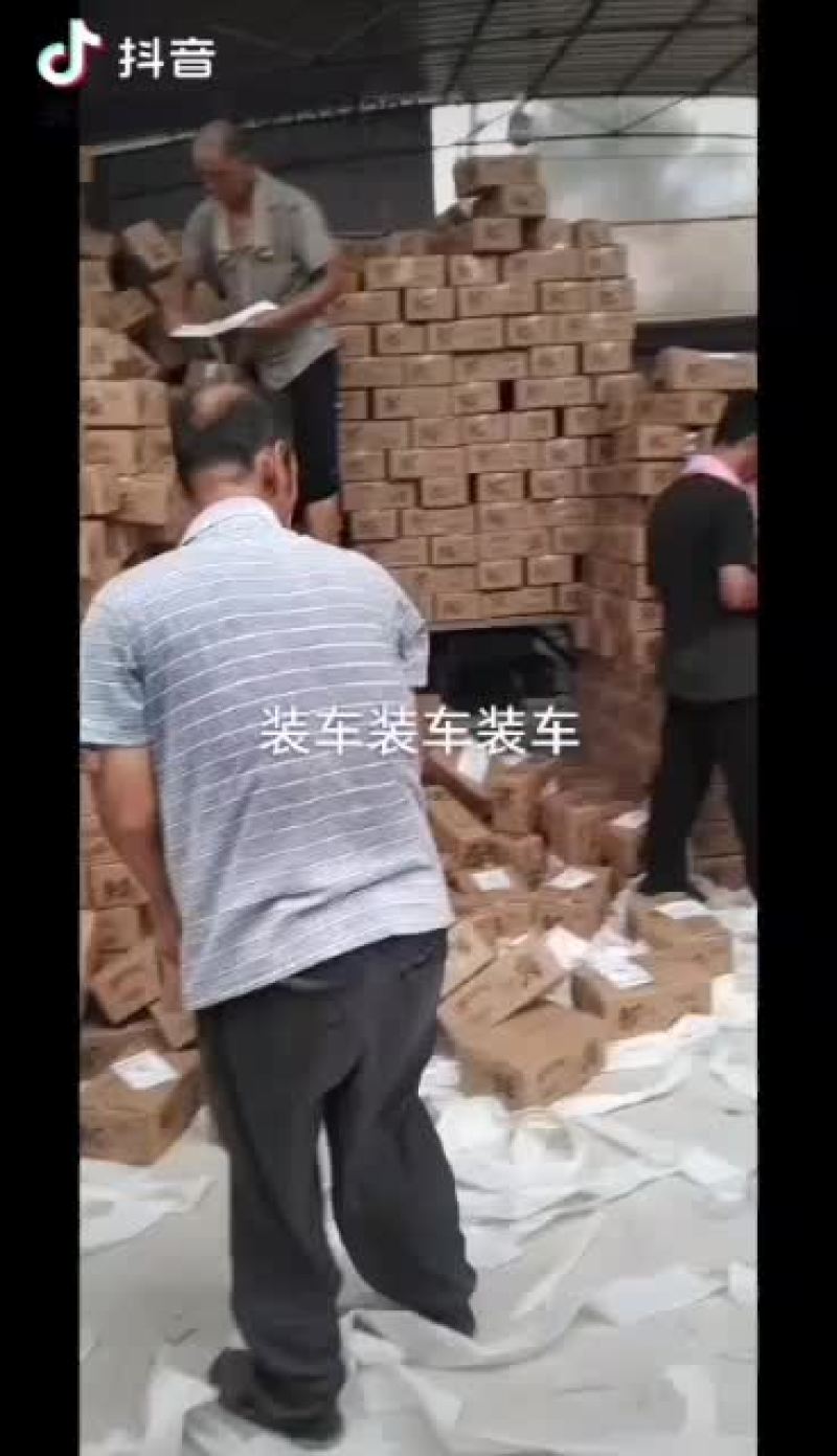 冬枣，电商对接，基地直供，地理位置优越，拥有大型场地