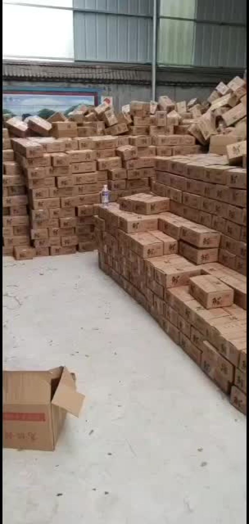 冬枣拐二，对接电商，一件代发产地实力代办