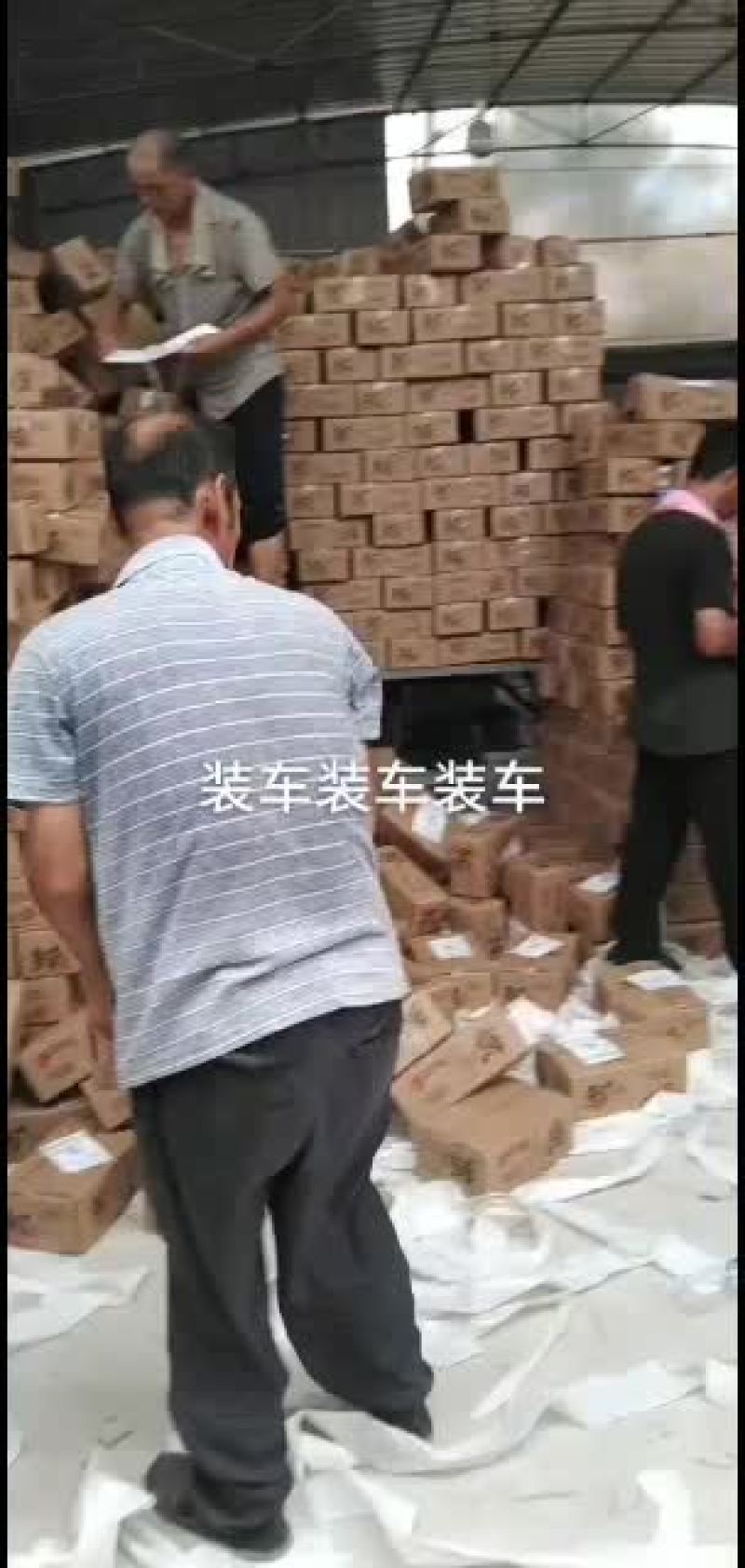 冬枣拐二，对接电商，一件代发产地实力代办